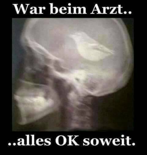 IMG-20161119-WA0001.jpg