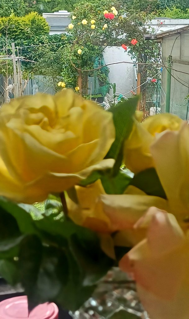 20260611_134611.jpg