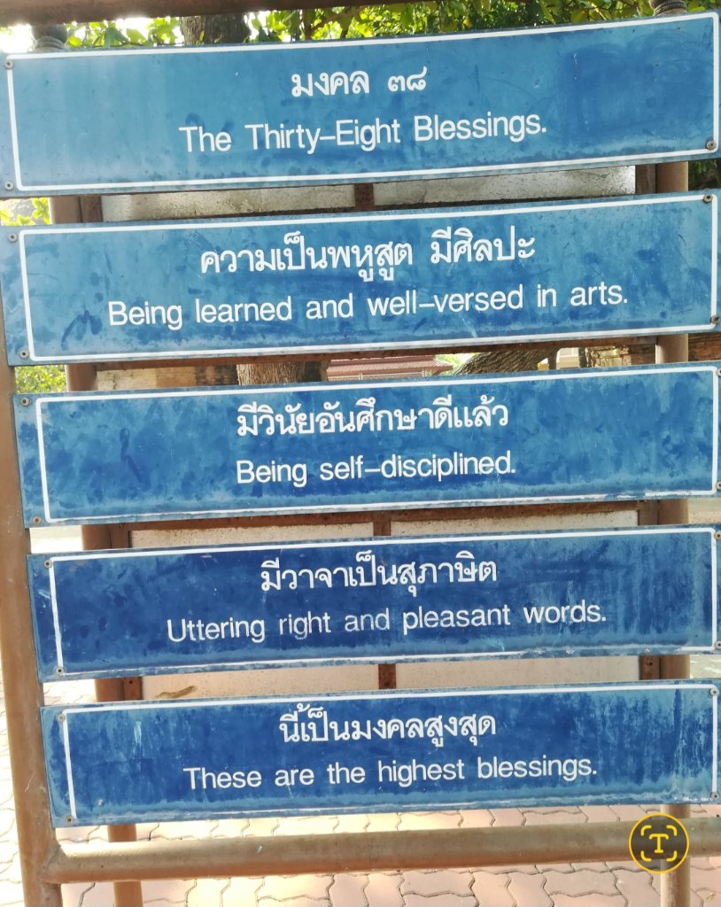1000080529.jpg