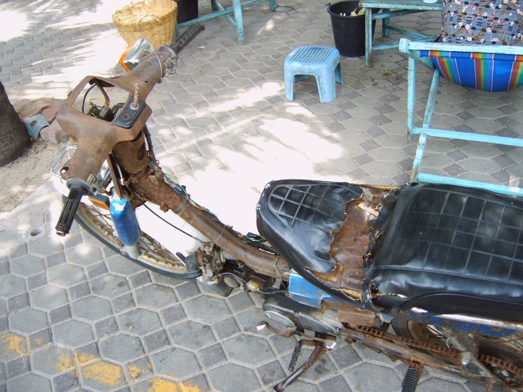 img00411.jpg